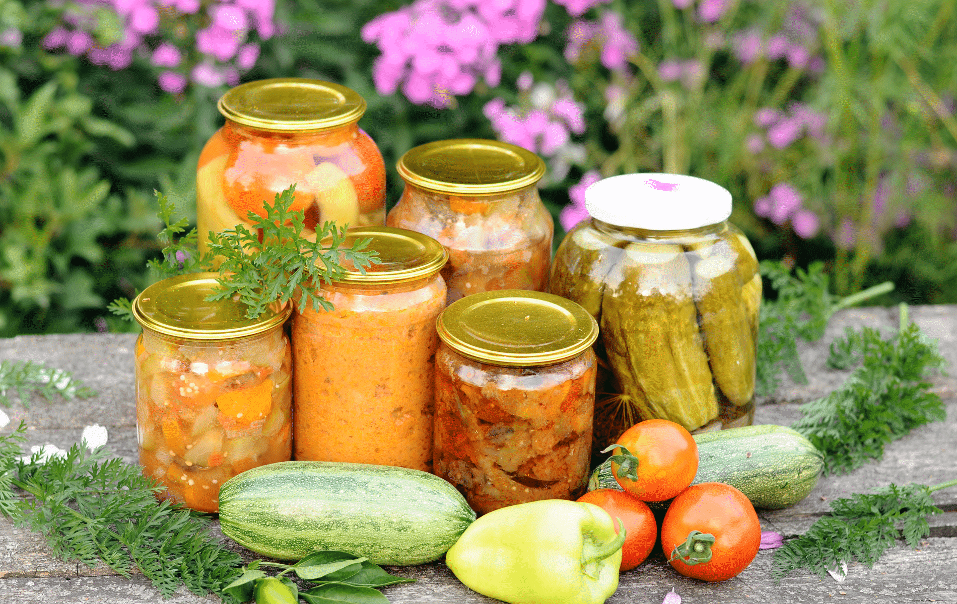 Sprievodca hotovými jedlami- zaujímavosti a história